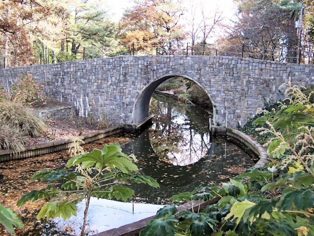 Botanical Garden Bridge